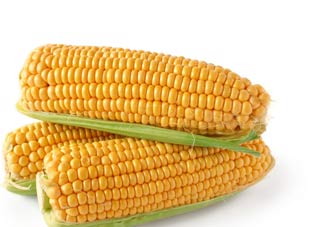 想吃美味玉米，煮法有窍门