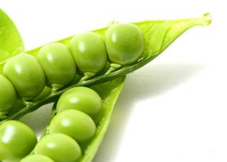 茶树菇和扁豆配在一起 有点像婚姻