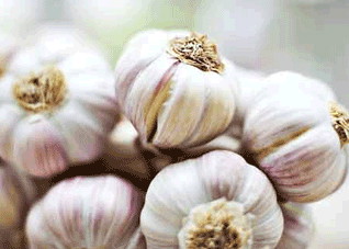 盘点饮食中的“明星单品”