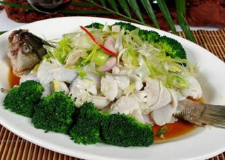 鱼最有营养的部位在哪里