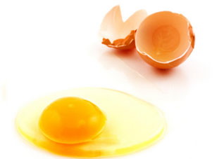 生吃鸡蛋 坏处多多