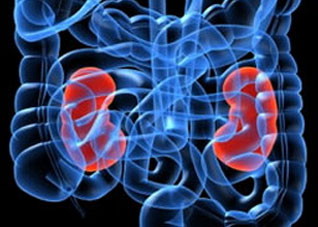 为你解读补肾的饮食禁忌