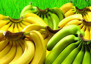 不同颜色的香蕉营养如何