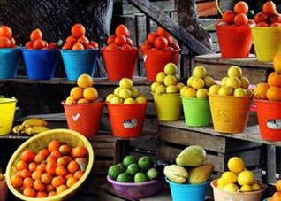 五色鲜果营养大比拼