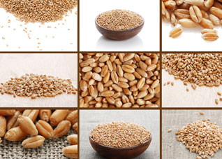 秋季应该多吃的八种食物