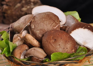 吃什么蔬菜减肥效果最好?