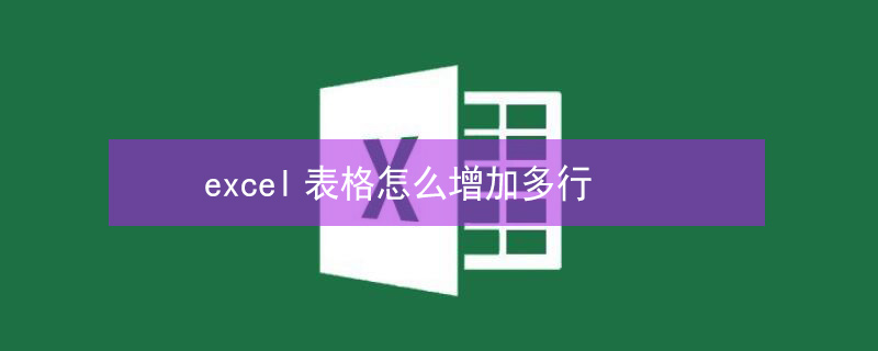 excel表格怎么增加多行