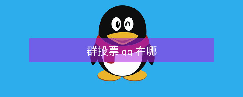 群投票qq在哪