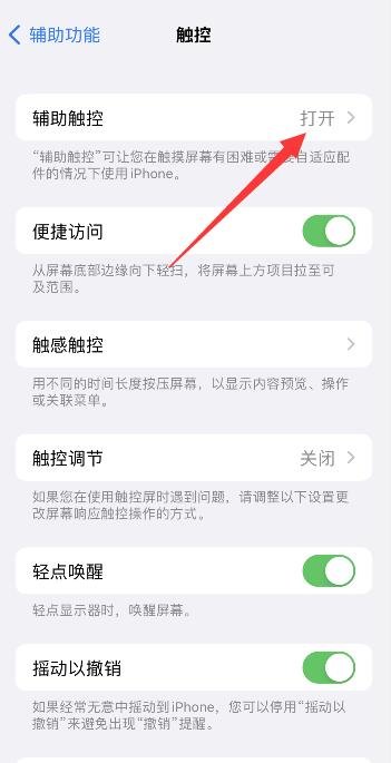 iPhone手机圆浮标怎么设置