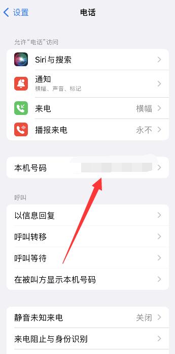 iPhone手机怎么查自己的手机号码