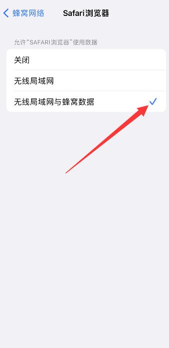 iPhone手机打不开网页尚未接入互联网