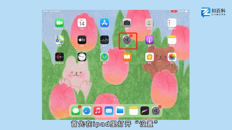 ipad录屏功能在哪里设置