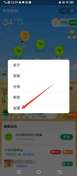 蚂蚁森林归隐山林是什么意思