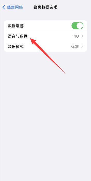 为什么iPhone13不显示5G