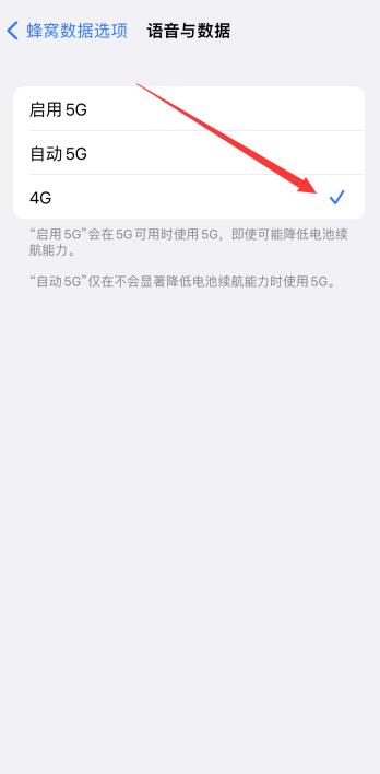 iPhone关闭5g开关