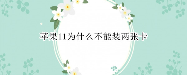 苹果11为什么不能装两张卡（苹果11怎么装两张卡）