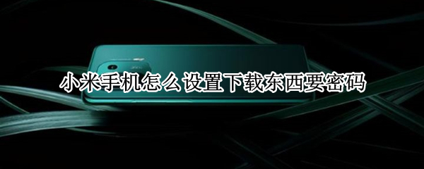 小米手机怎么设置下载东西要密码（小米手机怎么设置下载东西需要密码）