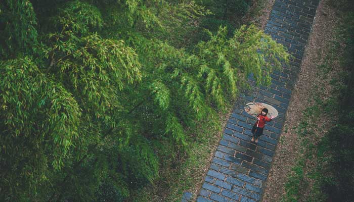 北风吹过竹林发出什么声音	 风儿吹过竹林发出什么声音