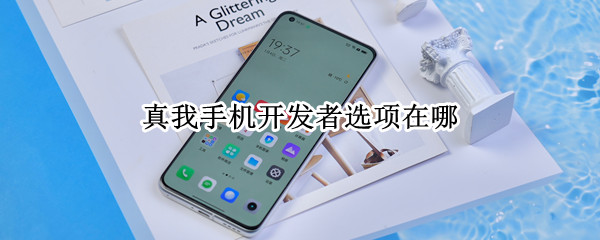 真我手机开发者选项在哪 真我手机开发者选项