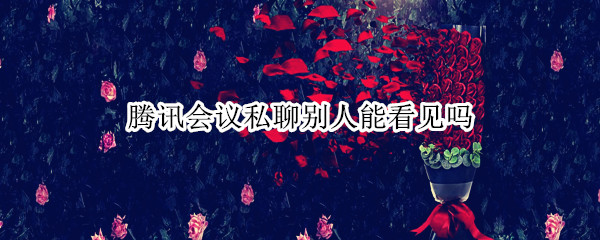 腾讯会议私聊别人能看见吗 腾讯会议发私信别人能看到吗