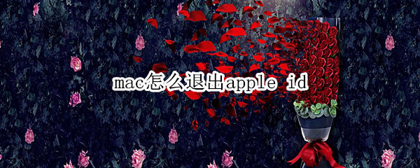 mac怎么退出apple（mac怎么退出apple id登陆）