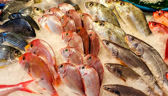 腥味的意思	 腥味的意思是什么意思 腥味的意思和造句