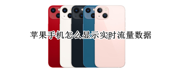 苹果手机怎么显示实时流量数据（iphone怎么看实时数据流量）