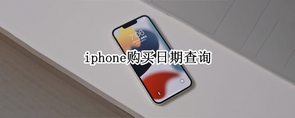 iphone购买日期查询(iphone购买日期查询不到)