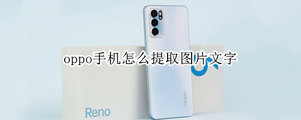 oppo手机怎么提取图片文字 OPPO手机怎么提取图片中的文字