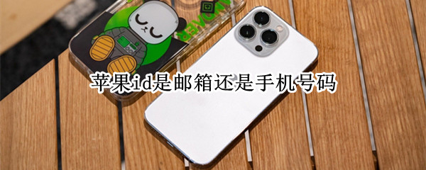 苹果id是邮箱还是手机号码(苹果id是手机号还是邮箱号)