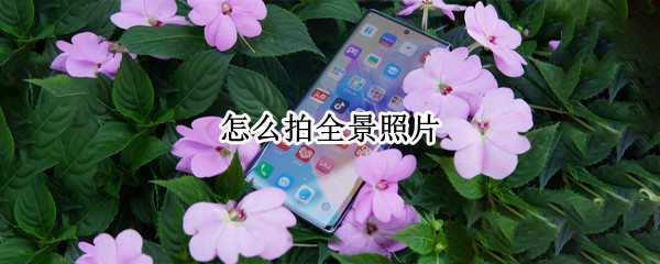 怎么拍全景照片（苹果手机怎么拍全景照片）