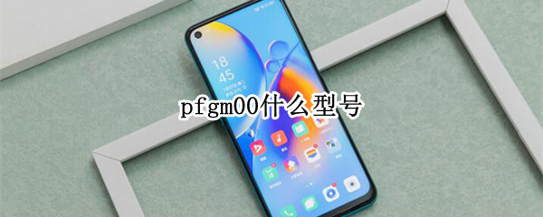 pfgm00什么型号 pfgm00什么型号多少钱