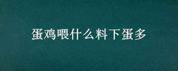 蛋鸡喂什么料下蛋多_养鸡人必看