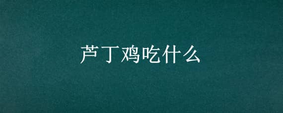 芦丁鸡吃什么_养鸡人必看