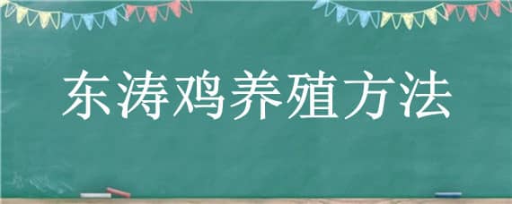 东涛鸡养殖方法_养鸡人必看