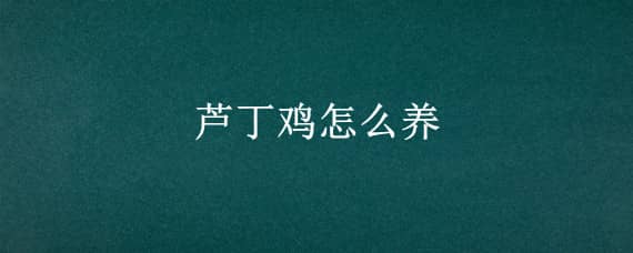 芦丁鸡怎么养_养鸡人必看