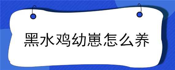 黑水鸡幼崽怎么养