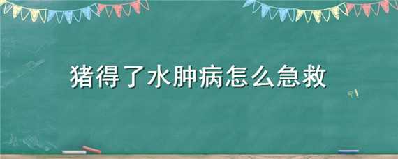 猪得了水肿病怎么急救