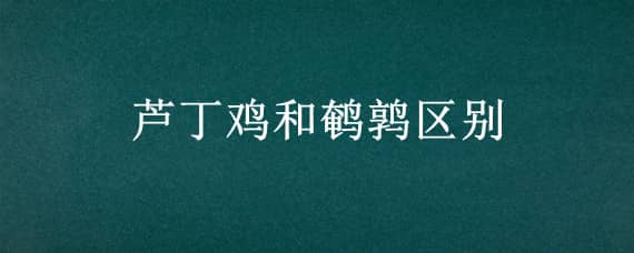 芦丁鸡和鹌鹑区别