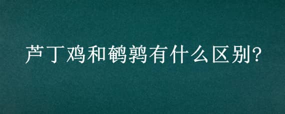 芦丁鸡和鹌鹑有什么区别?