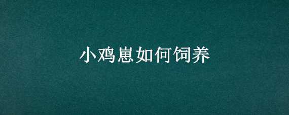 小鸡崽如何饲养