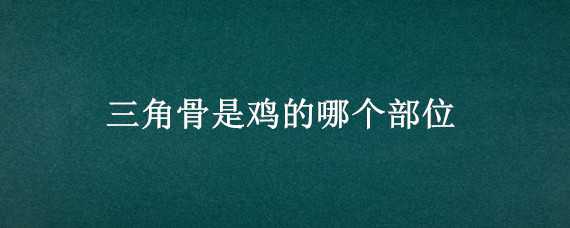 三角骨是鸡的哪个部位