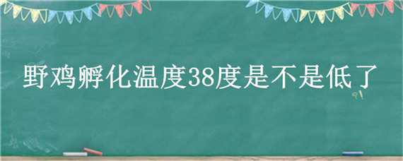 野鸡孵化温度38度是不是低了