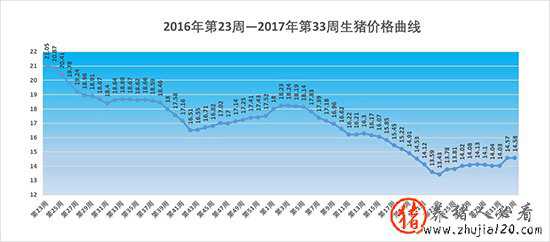 2017年第33周生猪价格、仔猪价格、玉米价格和猪粮比价