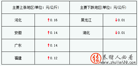 猪评：猪价持续上涨 今日猪市评析:猪价上涨