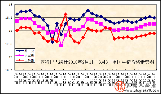 再涨！最高区域超大猪涨至10.5元