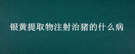 银黄提取物注射治猪的什么病（猪用银黄注射剂的功效）