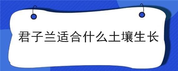 君子兰适合什么土壤生长 君子兰适合什么环境生长