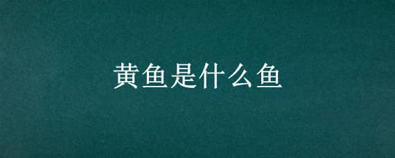 黄鱼是什么鱼 黄鱼是什么鱼图片大全