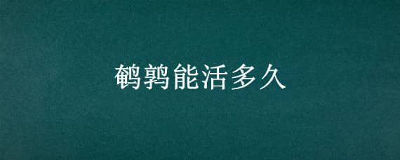 鹌鹑能活多久 家养鹌鹑能活多久